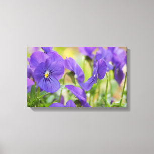 Lila Pansy-Leinwand-Kunst Leinwanddruck