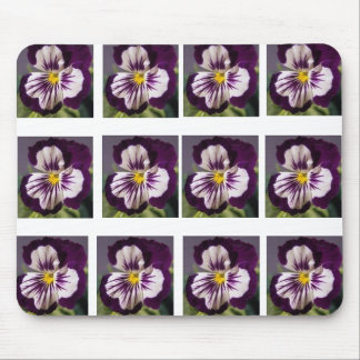 Lila Pansy Mouse Pad Mousepad