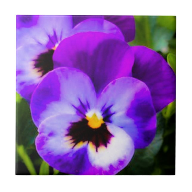 Lila Pansy Tile Fliese (Vorderseite)