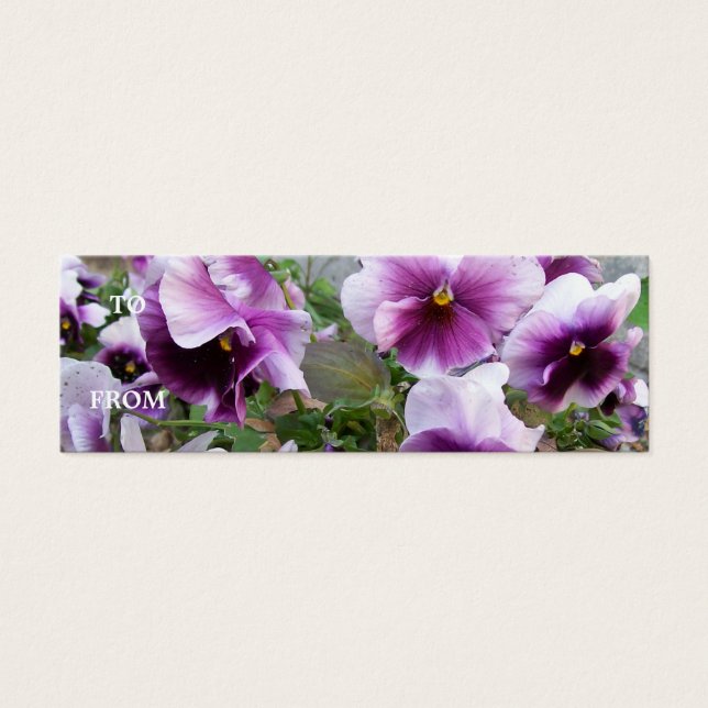 Lila Pansy Visitenkarte (Vorderseite)