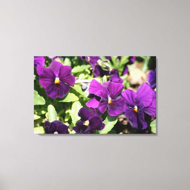 Lila Pansy Wrapped Art Leinwand (Vorderseite)