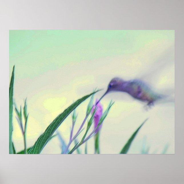 Lila Paradies Poster (Vorne)