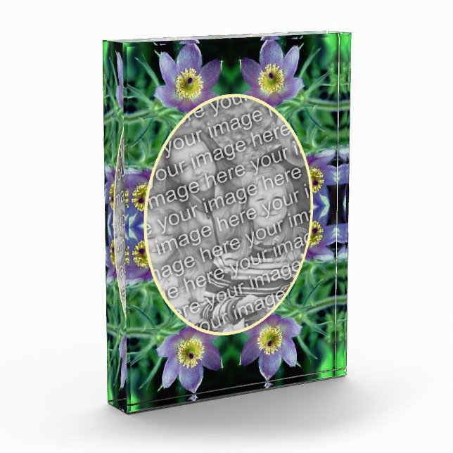 Lila Pasque-Blume erstellen Fotoblock (Links)