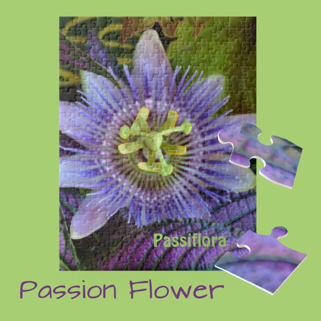 Lila Passiflora und botanischer Schild Puzzle (Von Creator hochgeladen)