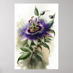 Lila Passion Blume Art Print Poster