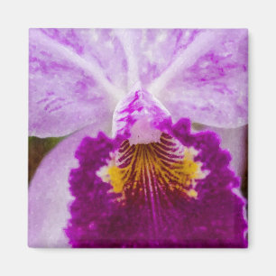 Lila Passion Orchid Magnet