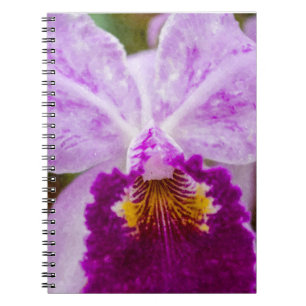 Lila Passion Orchid Notizblock
