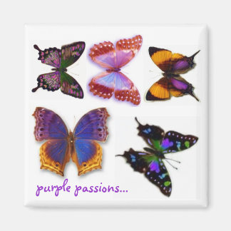 Lila Passionen Butterflies Magnet von S Ambrose