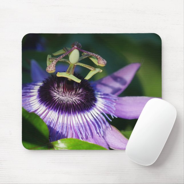 Lila Passionfruit Mousepad (Mit Mouse)
