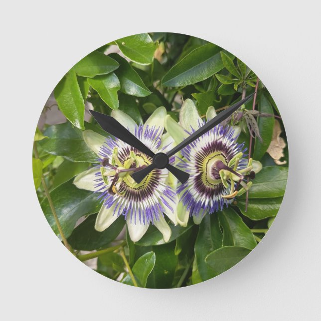 Lila Passionsblumen Wanduhr (Vorderseite)