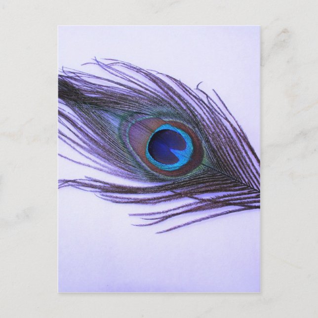 Lila Peacock Feather Postkarte (Vorderseite)