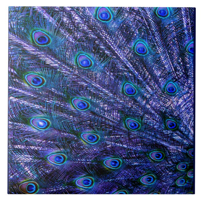 Lila Peacock Feathers Baby Blanket Fliese (Vorderseite)