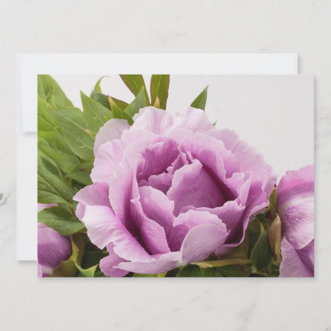 Lila Peonies Bouquet Einladung (Vorderseite)