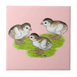 Lila Perlhühnerküken Fliese