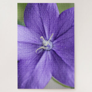 "Lila Petalpuzzle - Ruhe in jedem Stück" Puzzle