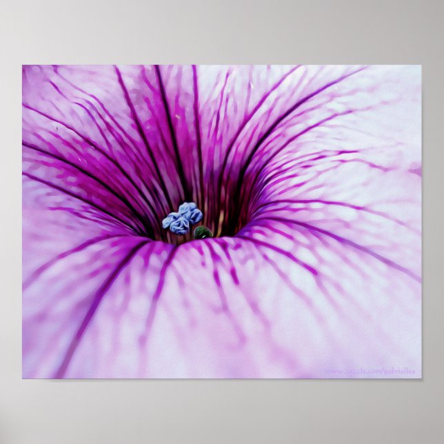 Lila Petunia Blume Fotokunst Poster (Vorne)