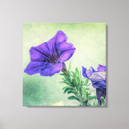 Lila Petunia Leinwand Kunst, Dichtung und Musik
