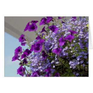 Lila Petunias 12x18 Card