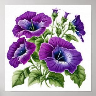 Lila Petunias Blume Art Print Poster
