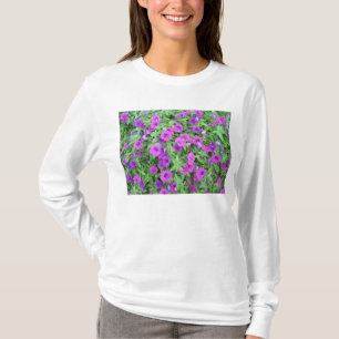Lila Petunias Hooded Sweatshirt T-Shirt