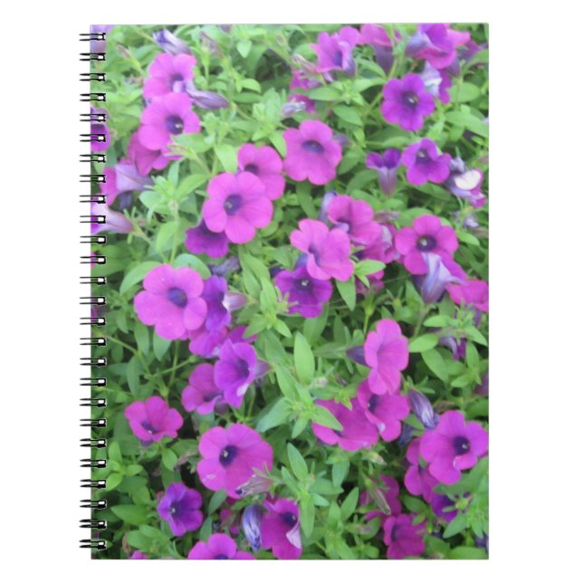 Lila-Petunias-Notebook Notizblock (Vorderseite)