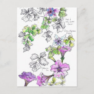 Lila Petunias Pen und Tintenfisch Blume Sketch Postkarte