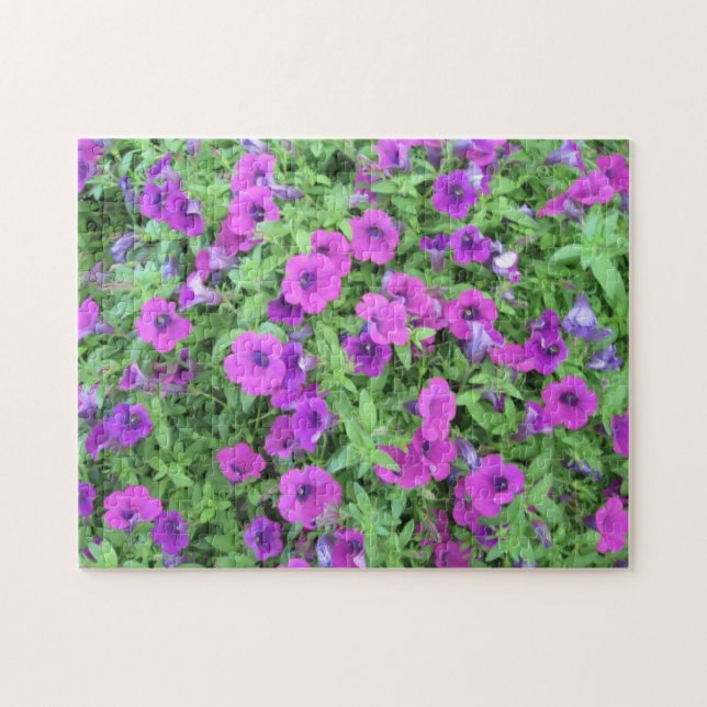 Lila Petunias Puzzle (Horizontal)