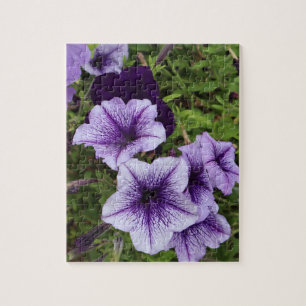 Lila Petunias Puzzle