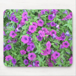 Lila Petunien Mousepad