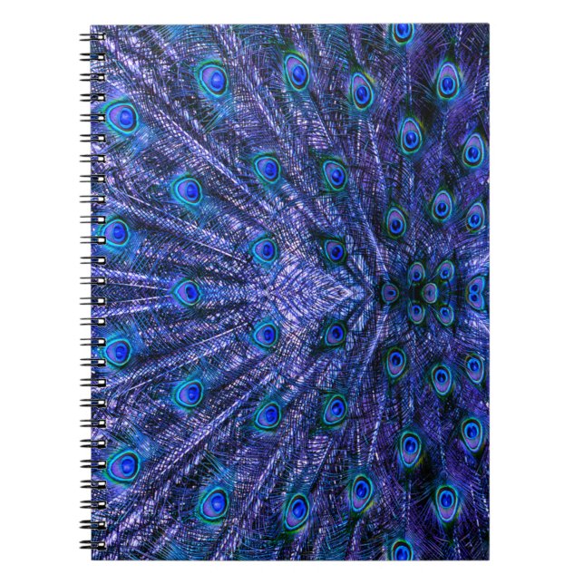 Lila Pfauenfeathers Notizblock (Vorderseite)