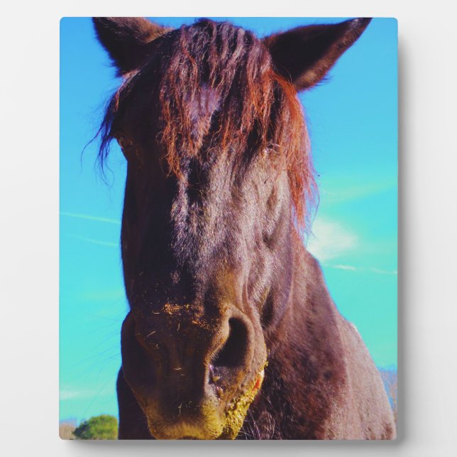 Lila Pferd mit grünem Mund Fotoplatte (Vorderseite)