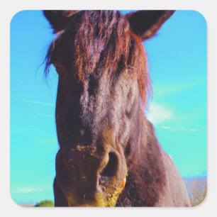 Lila Pferd mit grünem Mund Quadratischer Aufkleber