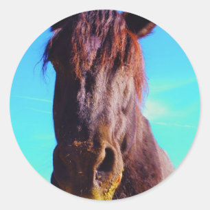 Lila Pferd mit grünem Mund Runder Aufkleber