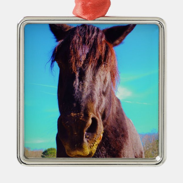 Lila Pferd mit grünem Mund Silbernes Ornament (Vorne)