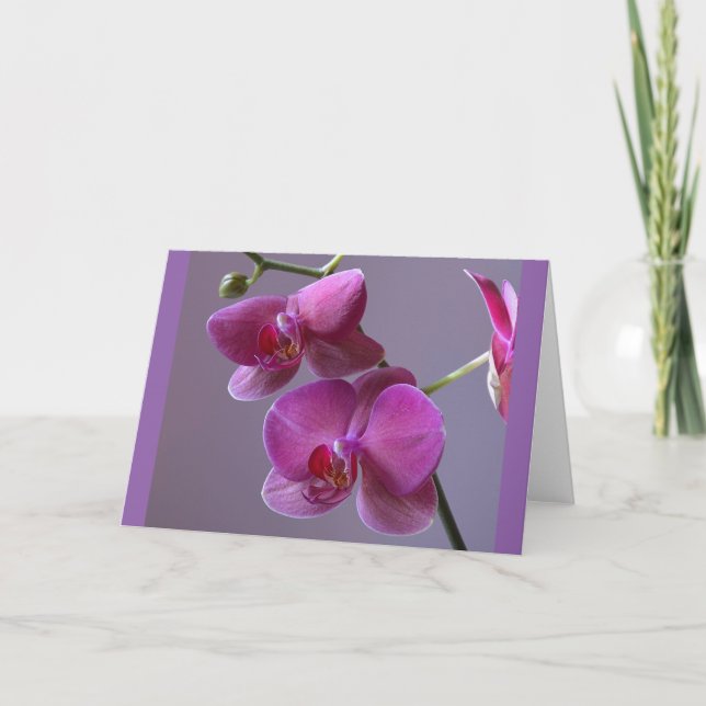 Lila Phalaenopsis orchid-Grußkarte Karte (Vorderseite)