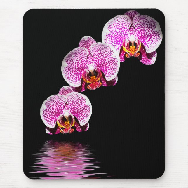 Lila Phalaenopsis Orchideen Reflections Mousepad (Vorne)
