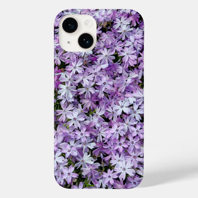 Lila Phlox-Blume Case-Mate iPhone Hülle (Rückseite)