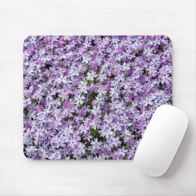 Lila Phlox-Blume Mousepad (Mit Mouse)
