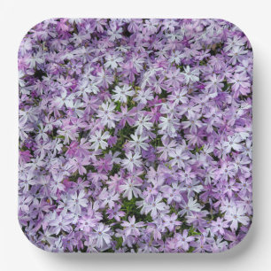 Lila Phlox-Blume Pappteller