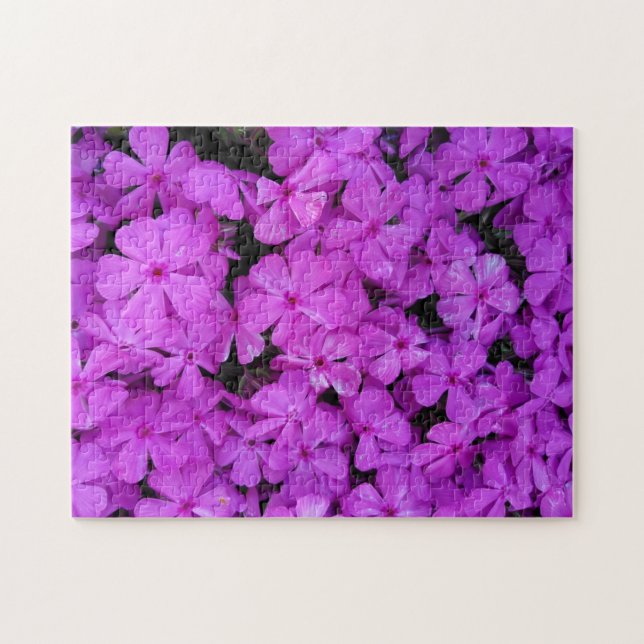Lila Phlox-Blume Puzzle (Horizontal)