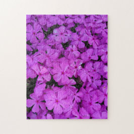 Lila Phlox-Blume Puzzle