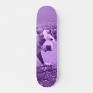 Lila Pit Bull-Skateboard Skateboard