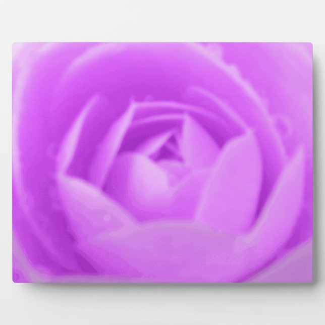 Lila Plaque Fotoplatte (Vorderseite)