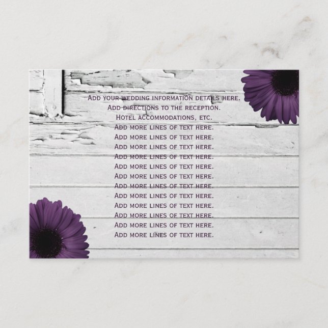 Lila Plum Gerber Daisy Wedding Information Card Begleitkarte (Vorderseite)