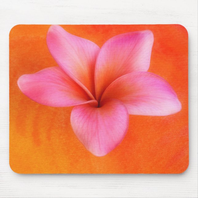 Lila Plumeria Tropical Frangipani Blume Orange Mousepad (Vorne)