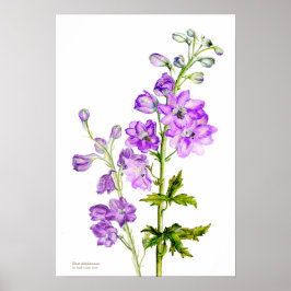 Lila Poster der botanischen Kunst des Delphinium