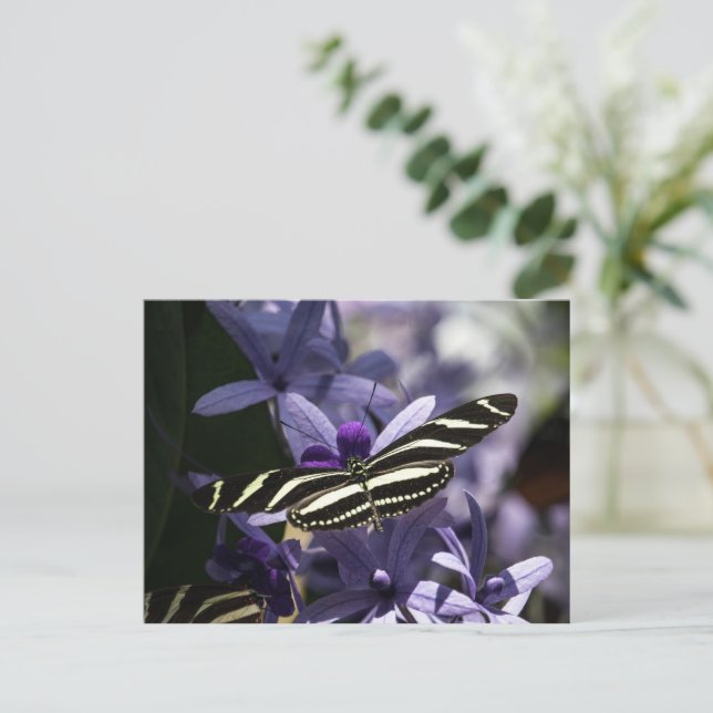 Lila  postkarte (Stehend Vorderseite)