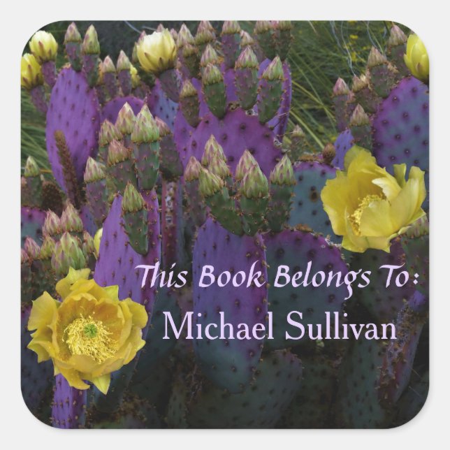 Lila Prickly Birne Opuntia Kaktus Gelbe Blüten Quadratischer Aufkleber (Vorderseite)