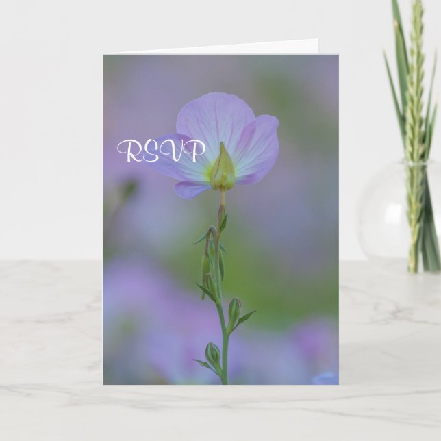 Lila Primrose UAWG Einladung (Vorderseite)