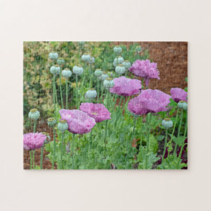 Lila Pupien Puzzle